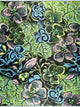Vlisco Grand Super-Wax